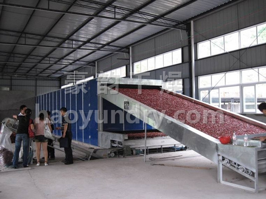 DWC系列脱水蔬菜带式干燥机