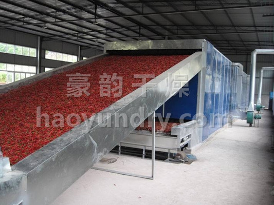 DWC系列脱水蔬菜带式干燥机