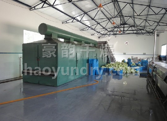 DWC系列脱水蔬菜带式干燥机