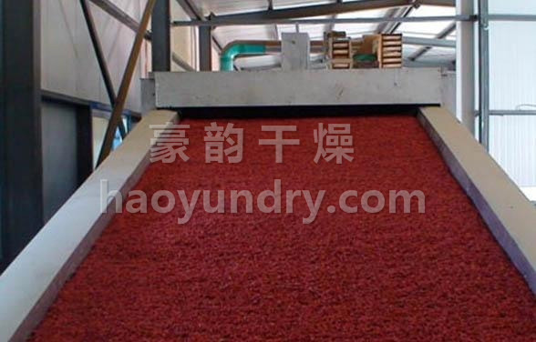 DWC系列脱水蔬菜带式干燥机