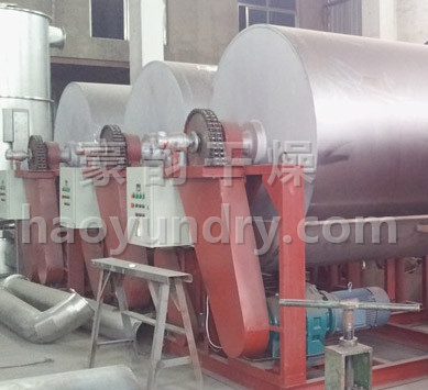 滚筒刮板干燥机
