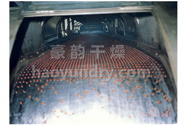 RL系列熔融造粒机